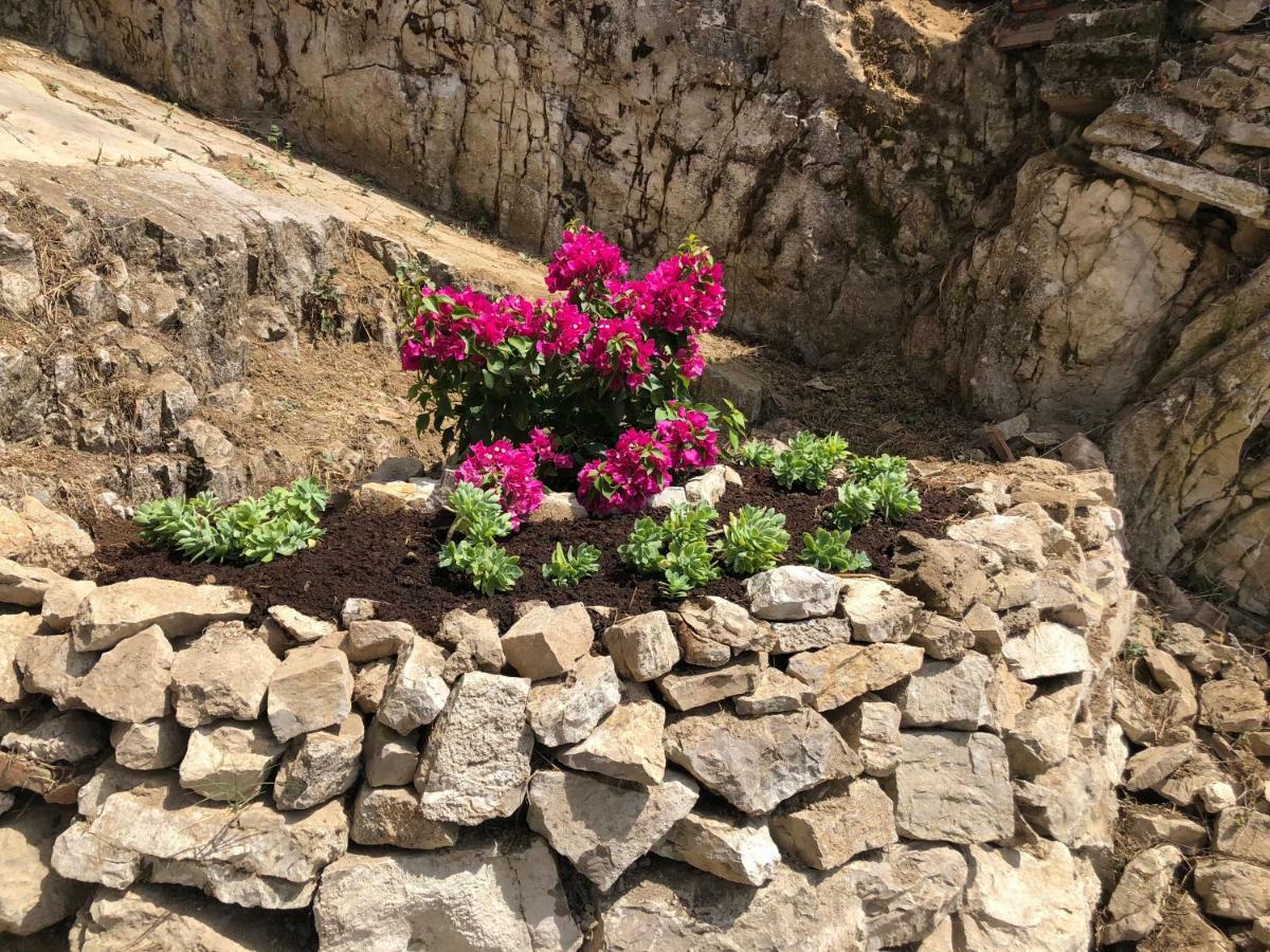 Relais Buona Stella Bed and Breakfast Pimonte Buitenkant foto